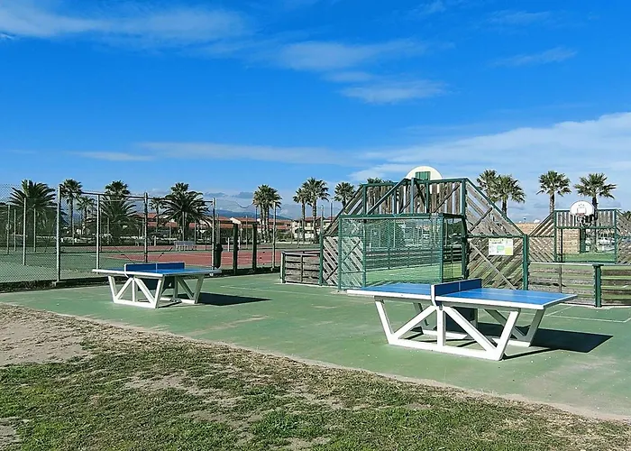 Daire T2 - 4 Pers - Terrasse Avec Vue Sur Port - Fr-1-195-113 *